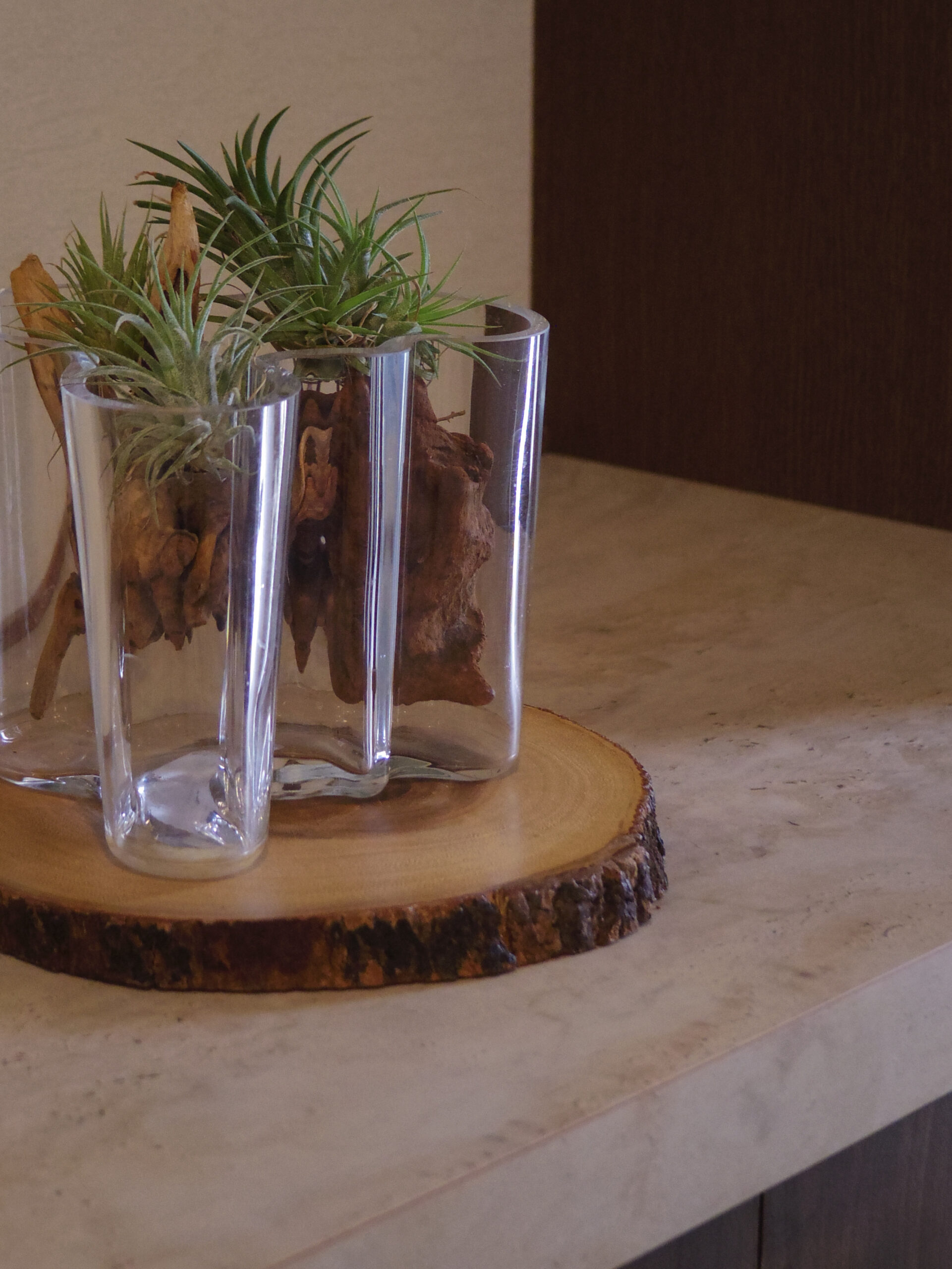 リノベーション後