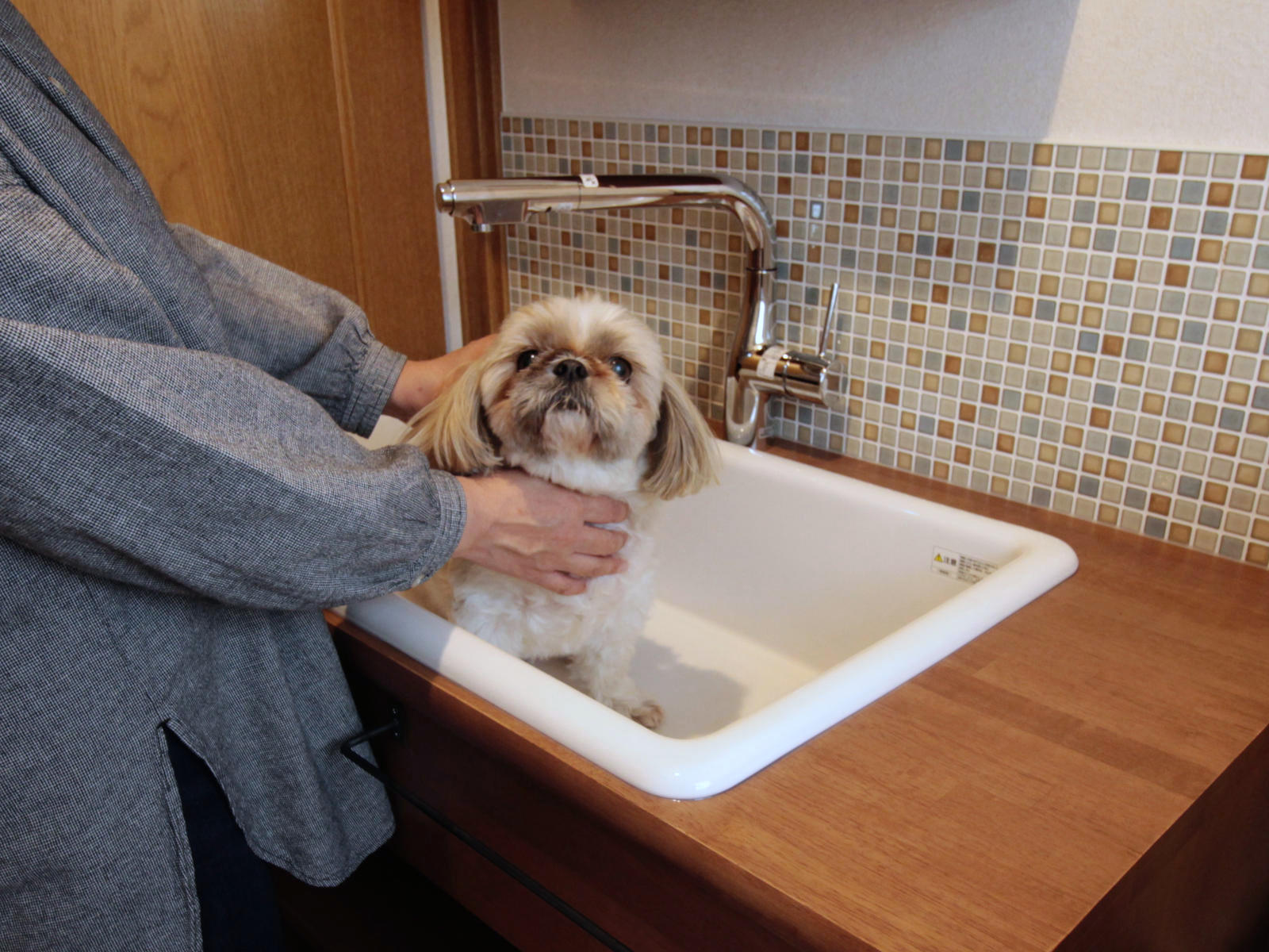 TOTO病院用シンクを採用した造作洗面台。底が平らで愛犬の足洗いやシャンプーも安定。