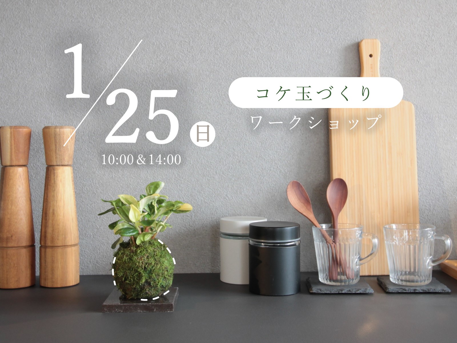 【満員御礼】コケ玉づくりワークショップ